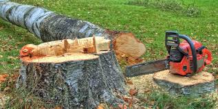 Best Emergency Tree Removal  in Deer Park, WA