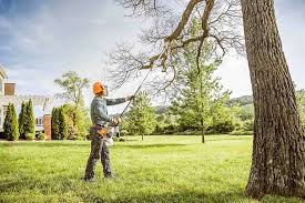 Best Lot and Land Clearing  in Deer Park, WA
