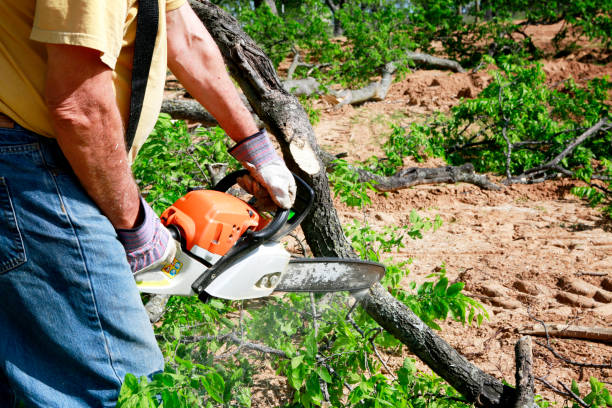 Best Lawn Pest Prevention  in Deer Park, WA